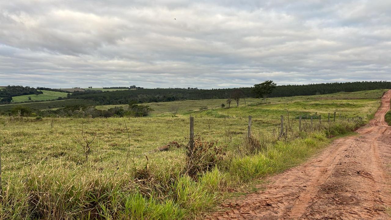 Terreno à venda - 121m² - Alto Piquiri — foto 1