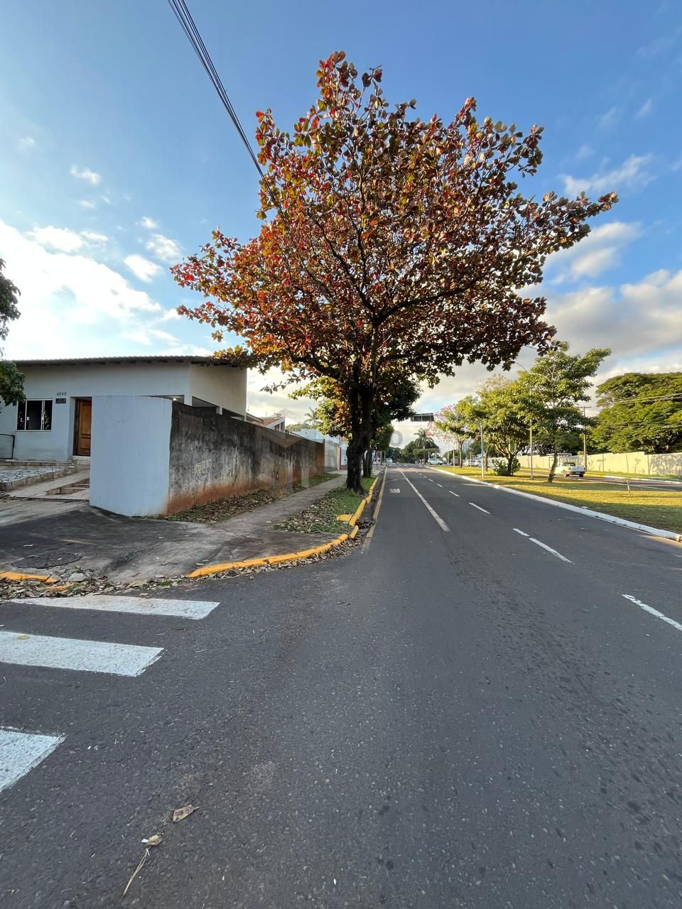 Casa à venda - 324m² - Zona VII — foto 3