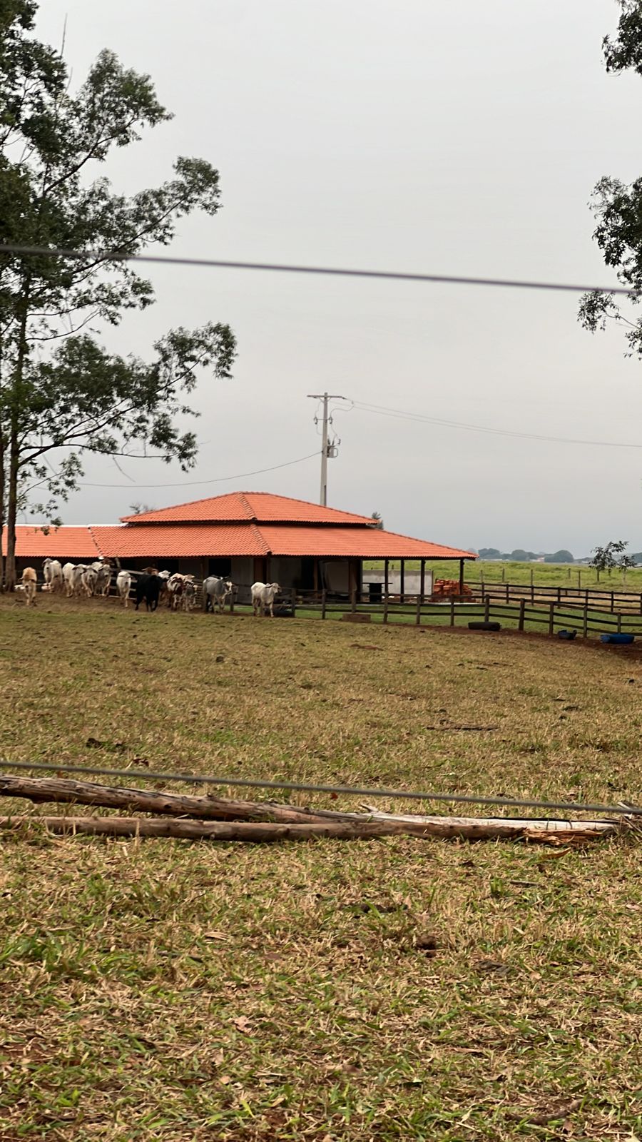 Chácara à venda - 20000m² - Estrada Jaborandi — foto 2