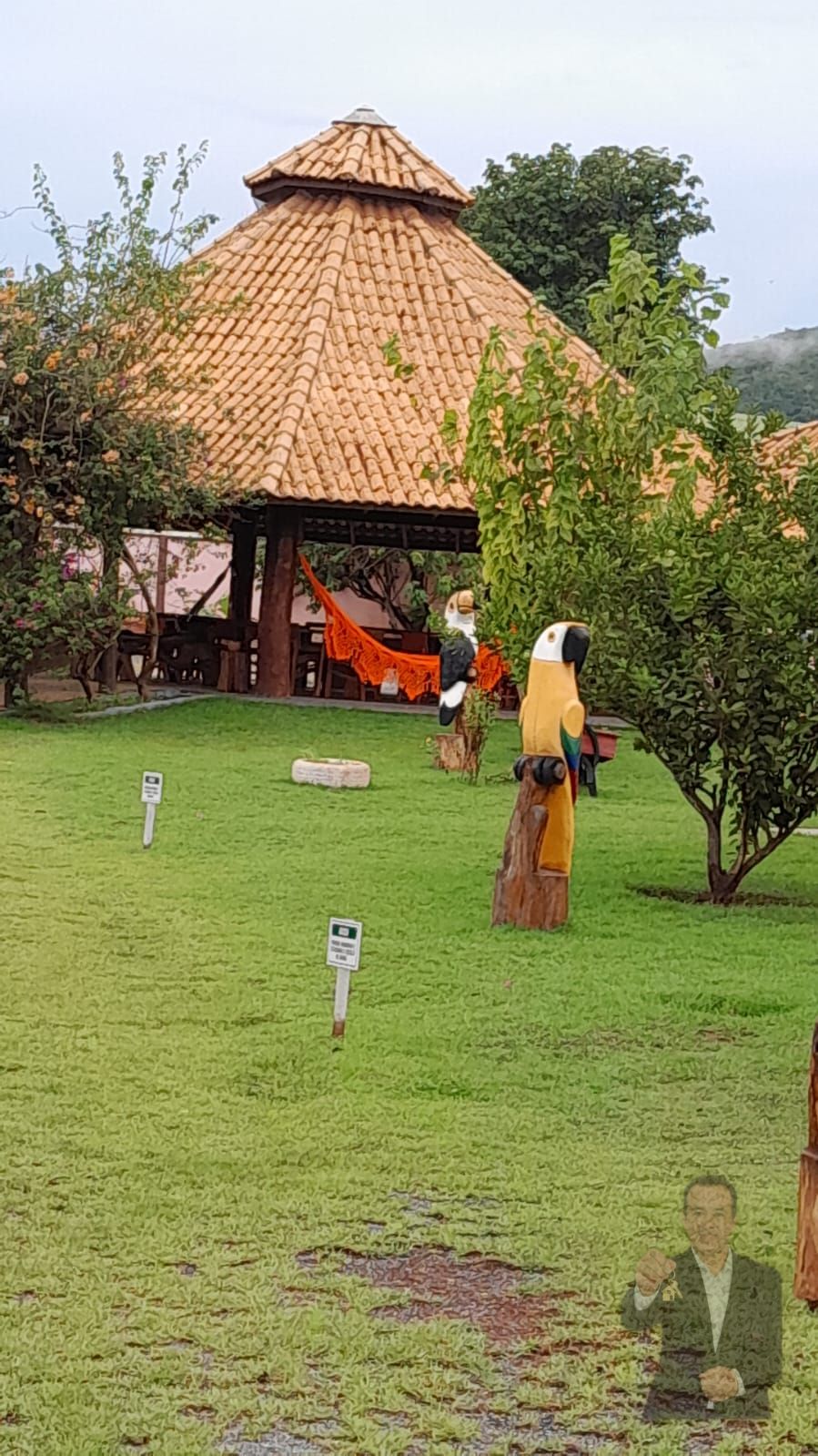 Fazenda à venda - 5.6m² - Nobres - MT — foto 13