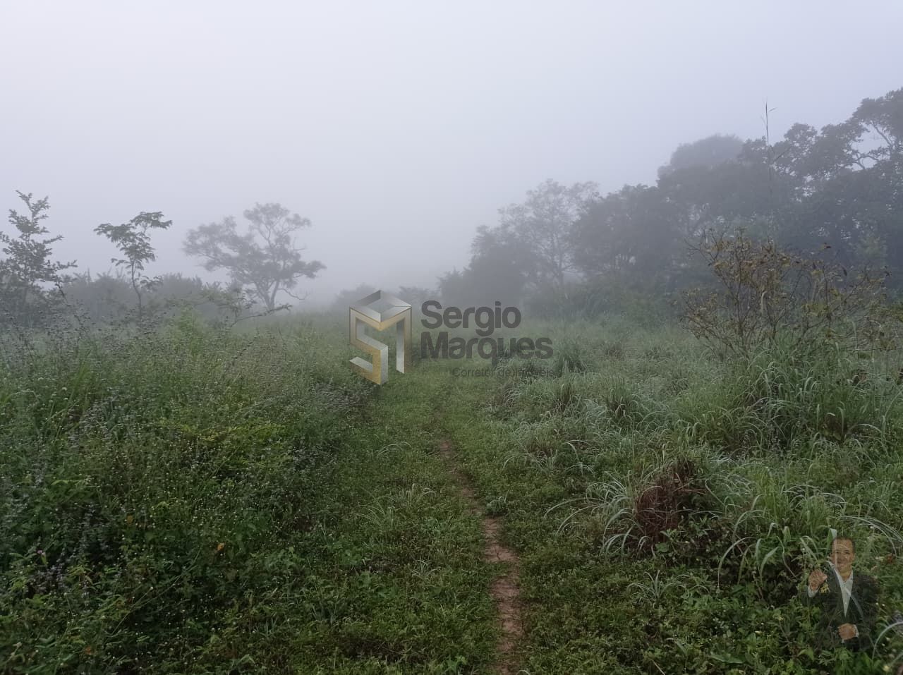 Fazenda à venda - 700000m² - Floriano-PI — foto 10