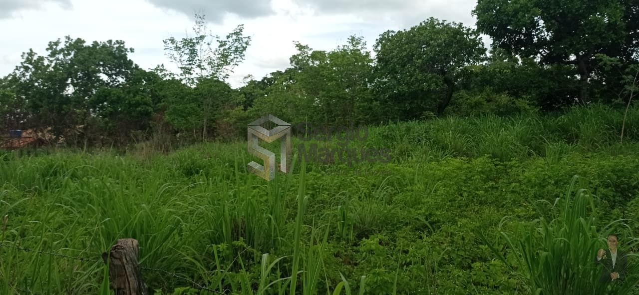Fazenda à venda - 700000m² - Floriano-PI — foto 12