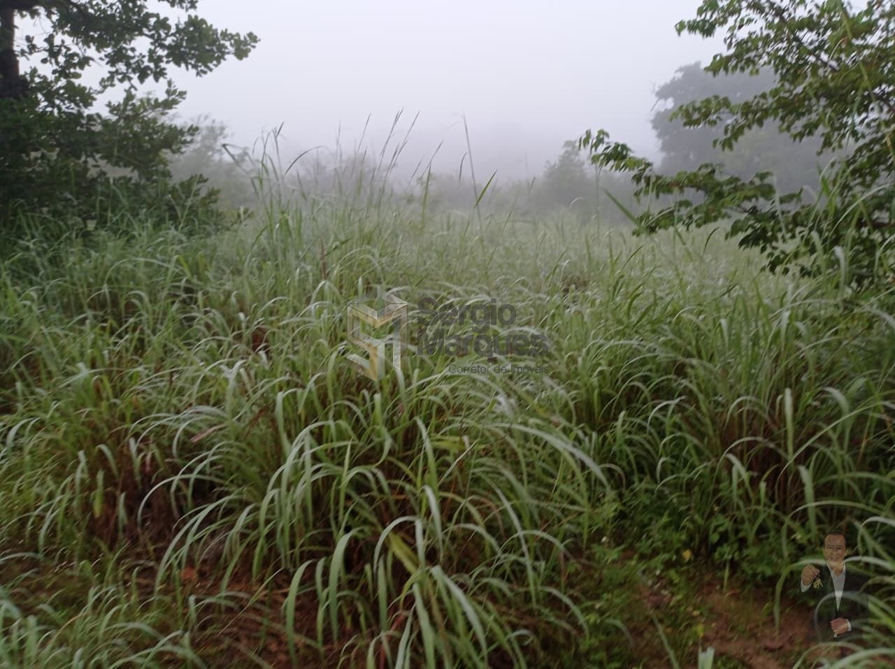 Fazenda à venda - 700000m² - Floriano-PI — foto 14