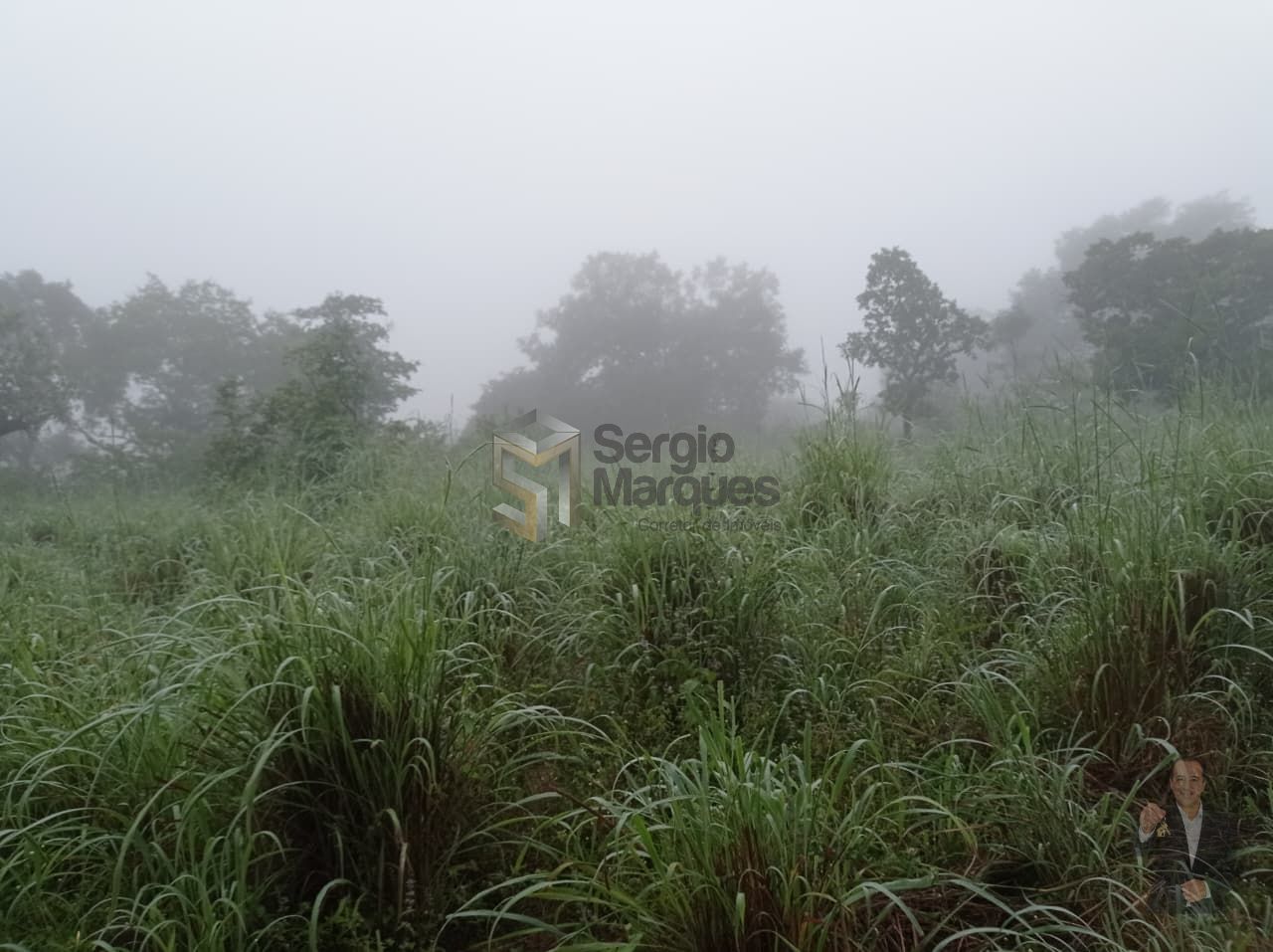 Fazenda à venda - 700000m² - Floriano-PI — foto 15
