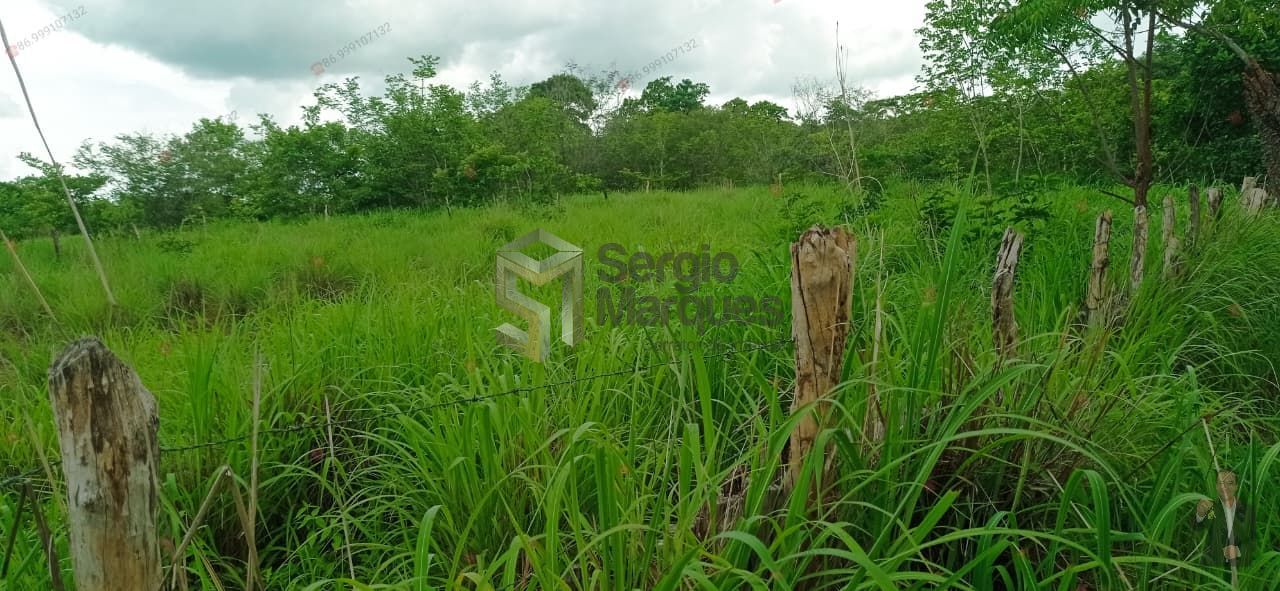 Fazenda à venda - 700000m² - Floriano-PI — foto 17