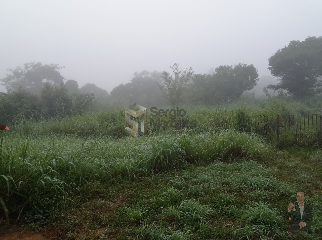 Fazenda à venda - 700000m² - Floriano-PI — foto 19