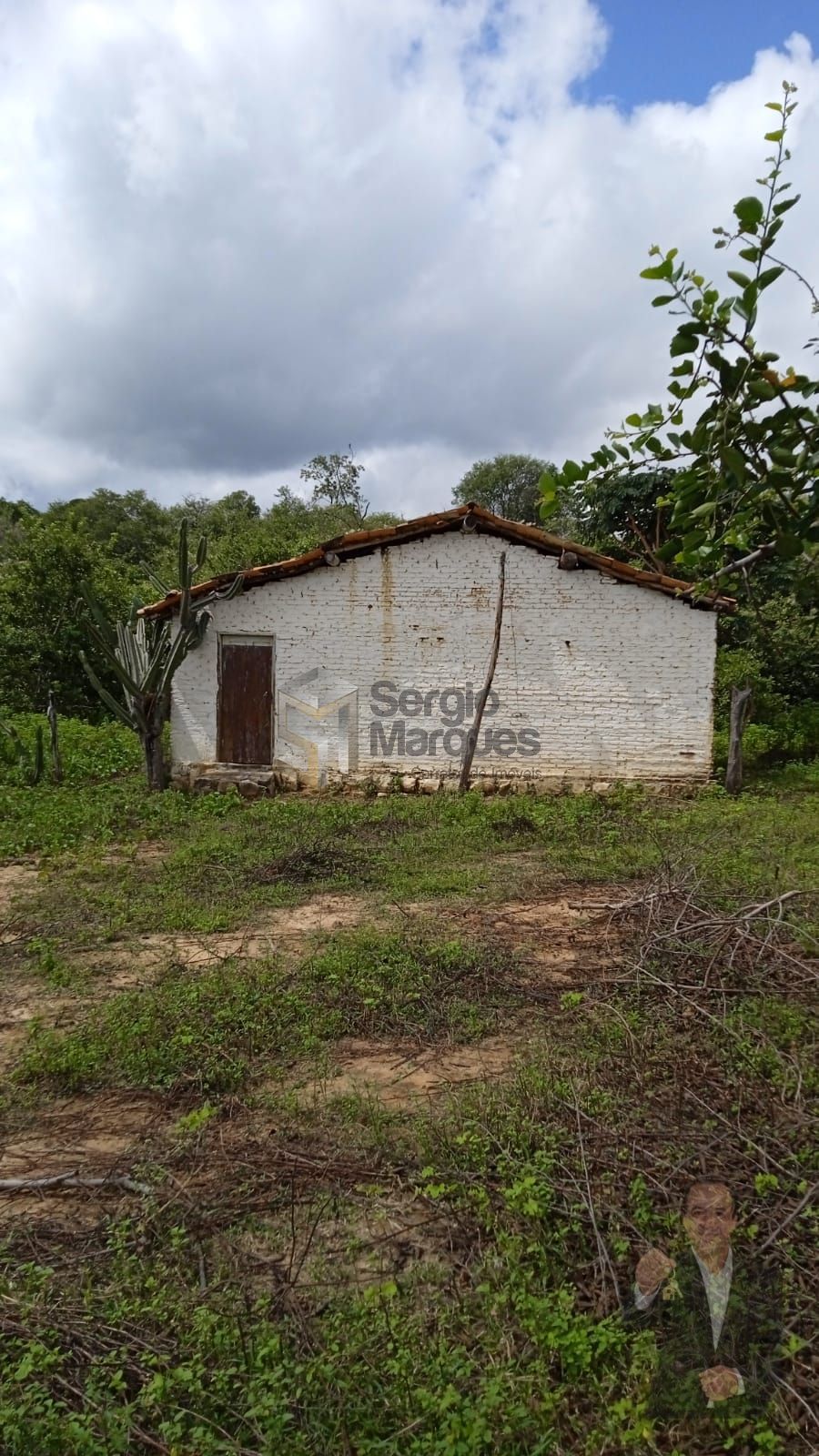 Fazenda à venda - 700000m² - Floriano-PI — foto 25