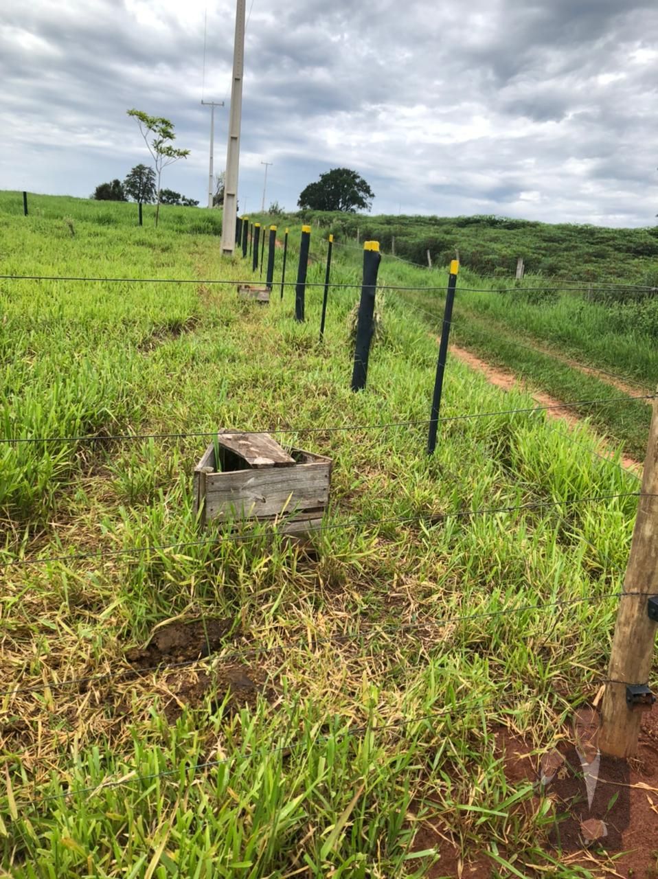 Chácara à venda - 20.000m² - Maria Helena — foto 3