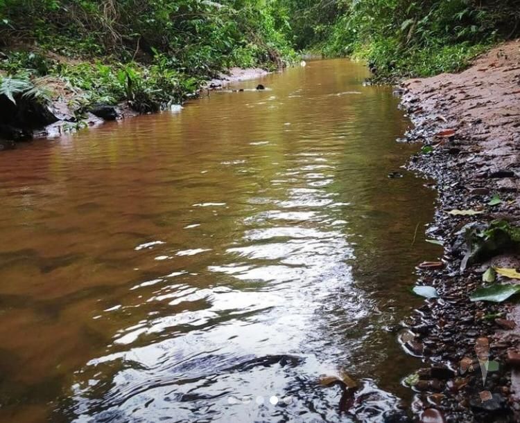 Chácara à venda - 20.000m² - Maria Helena — foto 4