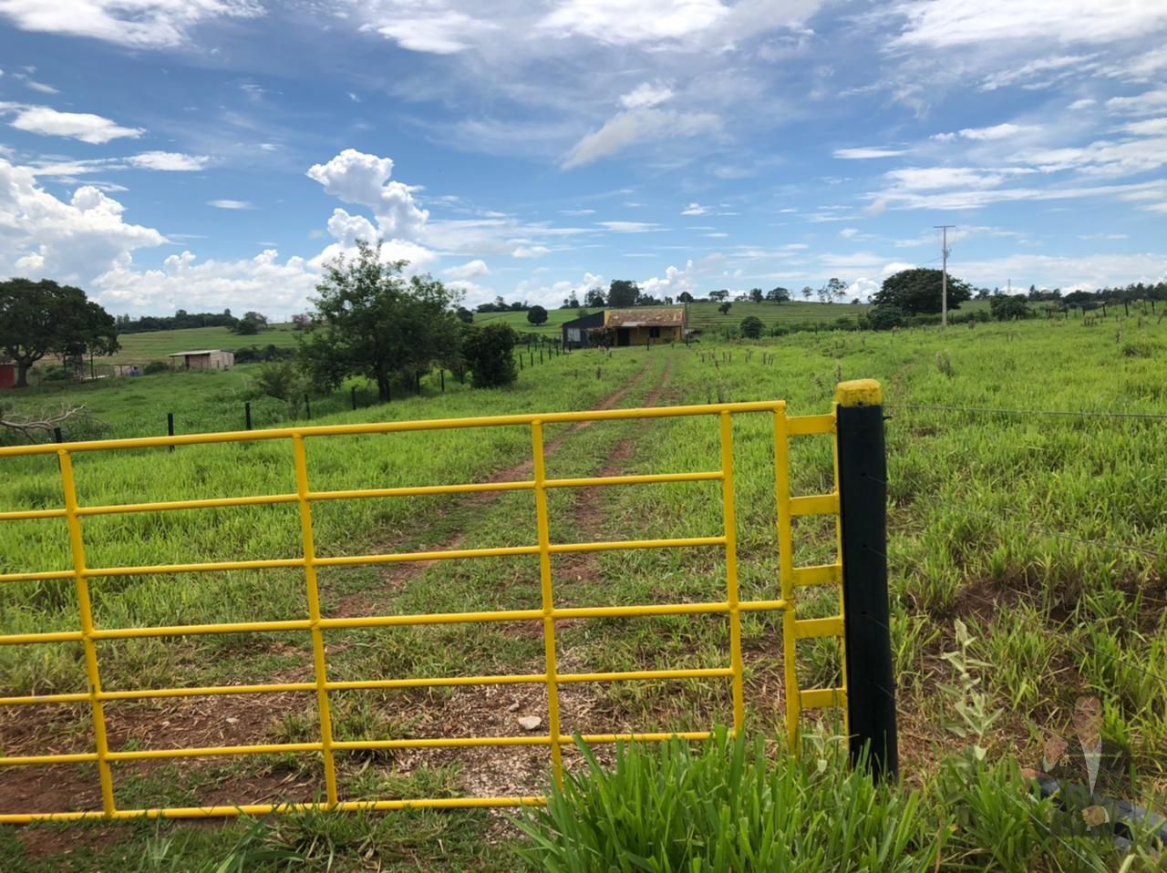 Chácara à venda - 20.000m² - Maria Helena — foto 6