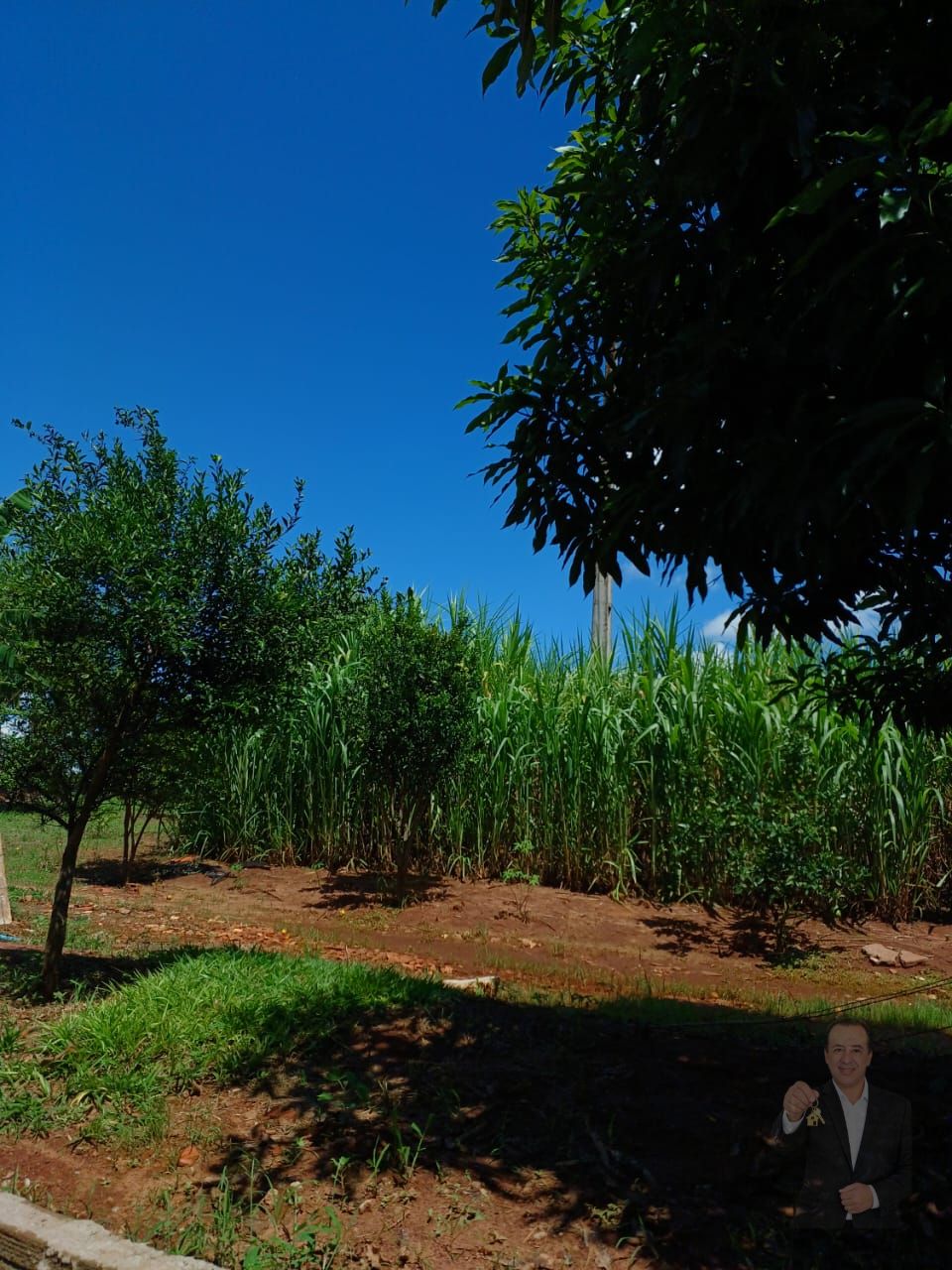 Chácara à venda - 20m² - Estrada Jaborandi — foto 20