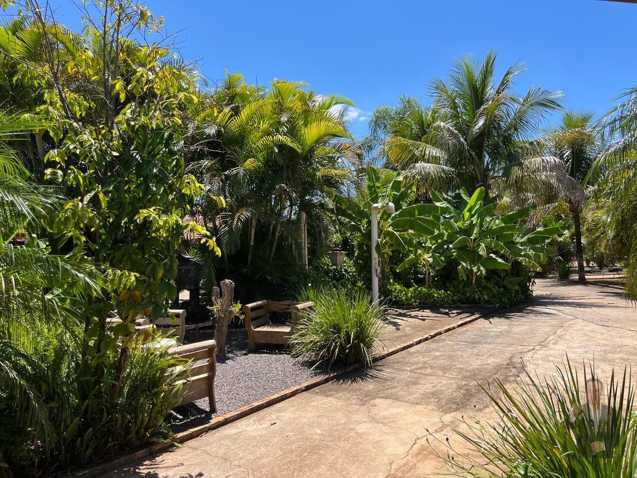 Chácara à venda - 11000m² - Umuarama - PR — foto 18